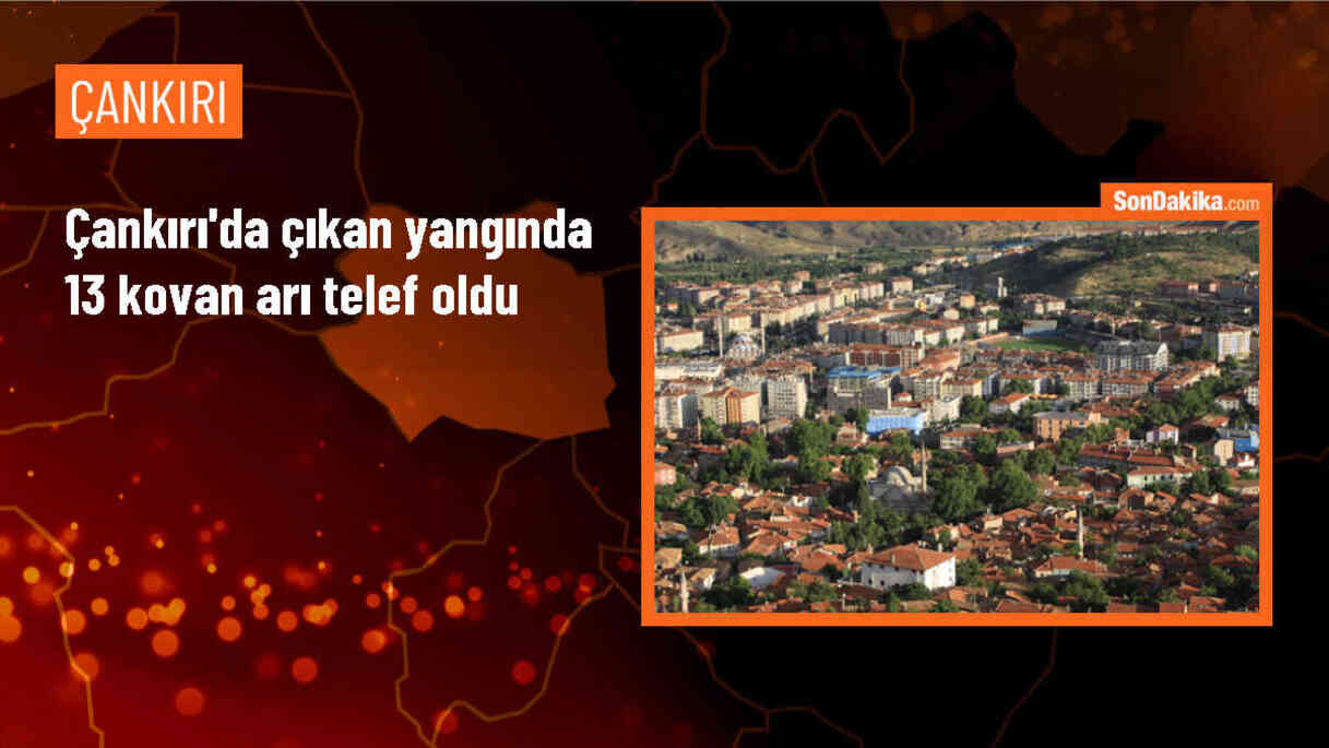 Çankırı\'da Hobi Bahçesi ve Arılıkta Yangın: 13 Kovan Arı Telef Oldu