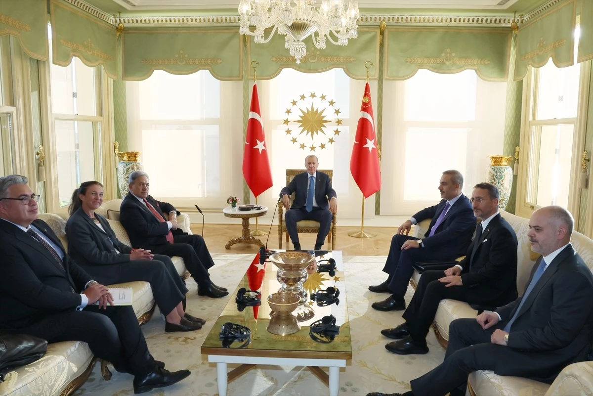 Cumhurbaşkanı Erdoğan, Yeni Zelanda Başbakan Yardımcısı ve Dışişleri Bakanı\'nı kabul etti