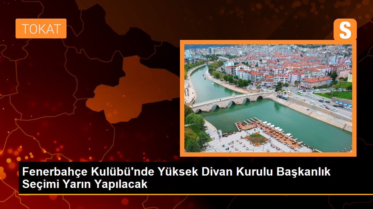 Fenerbahçe Kulübü\'nde YDK Başkanlık Seçimi Yarın Yapılacak