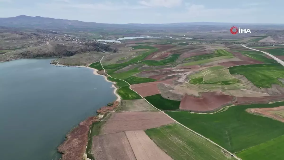 Kuraklık riski artıyor, ekinler kuruyor: Köylüler yağmur duasına çıktı