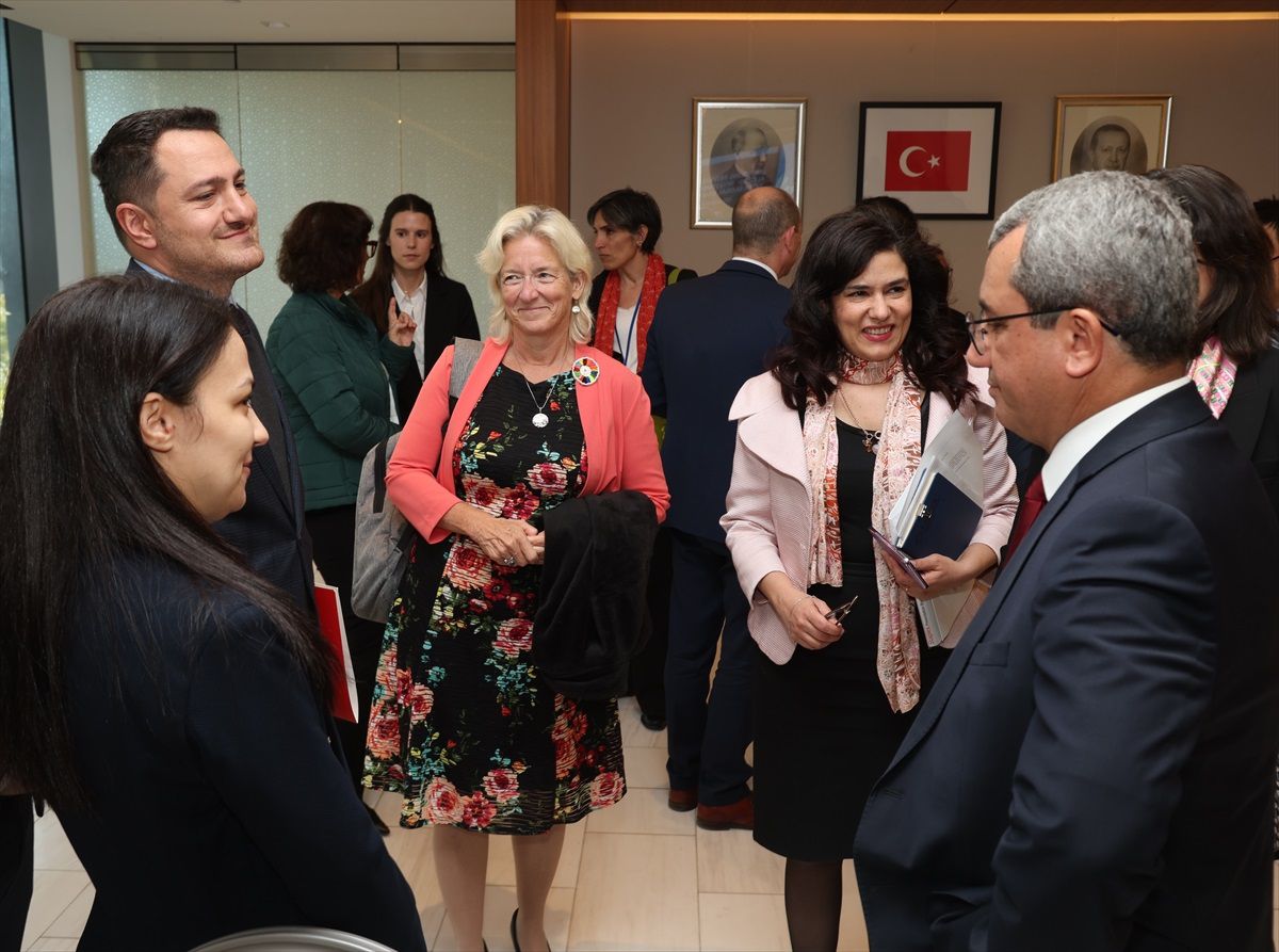 Küresel Güney\'de Sürdürülebilir Kalkınma Hedeflerine Uyumlu Yatırım Fırsatları için Özel Sektör Sermayesinin Kilidini Açmak