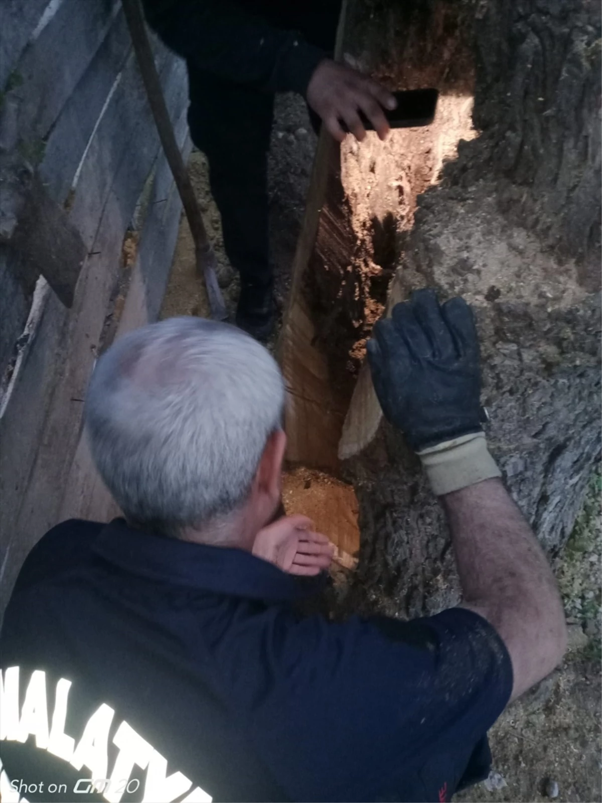 Malatya\'da İtfaiye, Ağaç Kovuğuna Sıkışan Yavru Kediyi Kurtardı