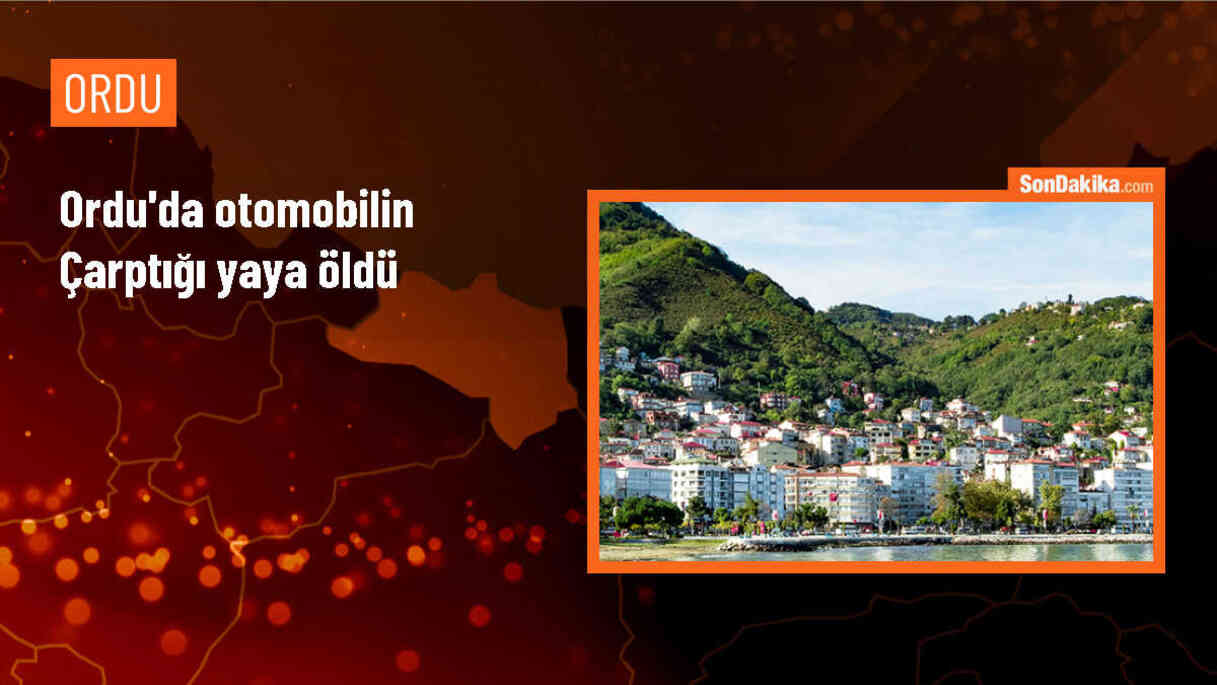 Otomobilin çarptığı yaya hayatını kaybetti