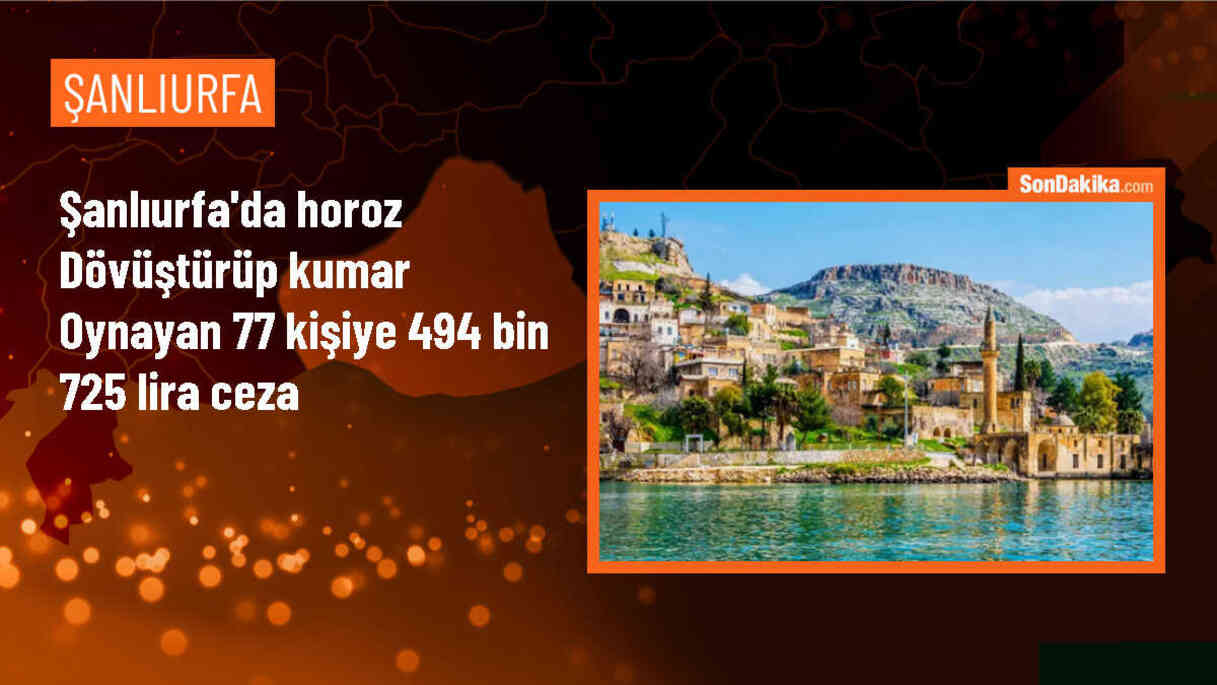 Şanlıurfa\'da Horoz Dövüştürüp Kumar Oynayanlara İdari Para Cezası