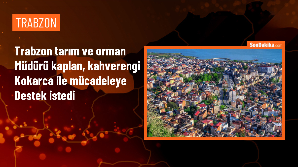 Trabzon\'da Fındık Hastalık ve Zararlılarıyla Mücadele Toplantısı Yapıldı