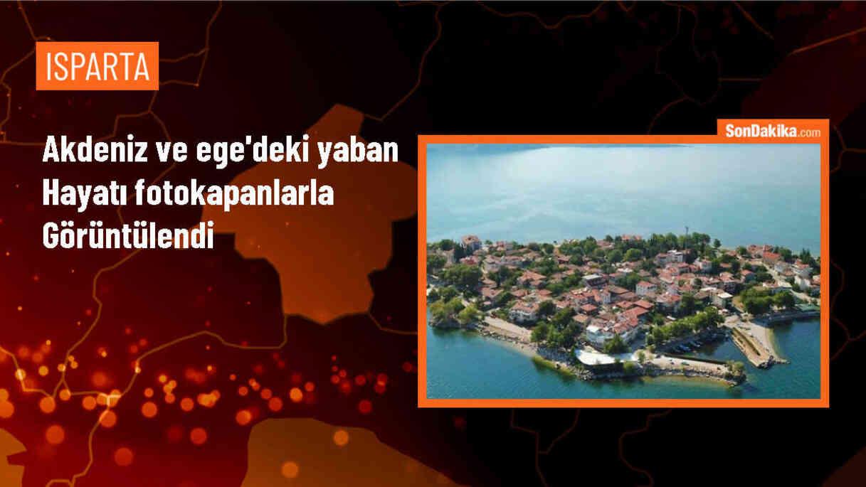 Ege ve Akdeniz bölgelerinde fotokapanlarla yaban hayvanları görüntülendi