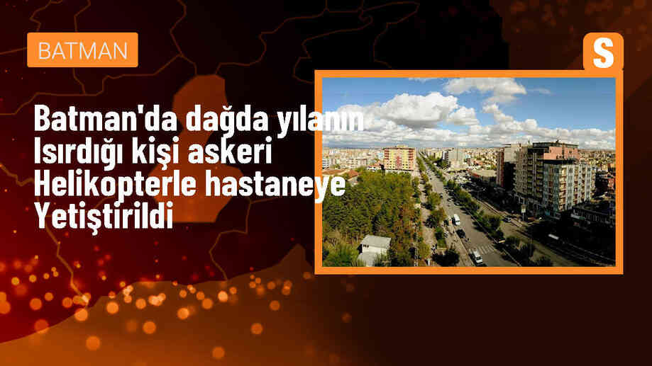 Batman\'da yılan ısırığı sonucu yaralanan kişi helikopterle hastaneye kaldırıldı