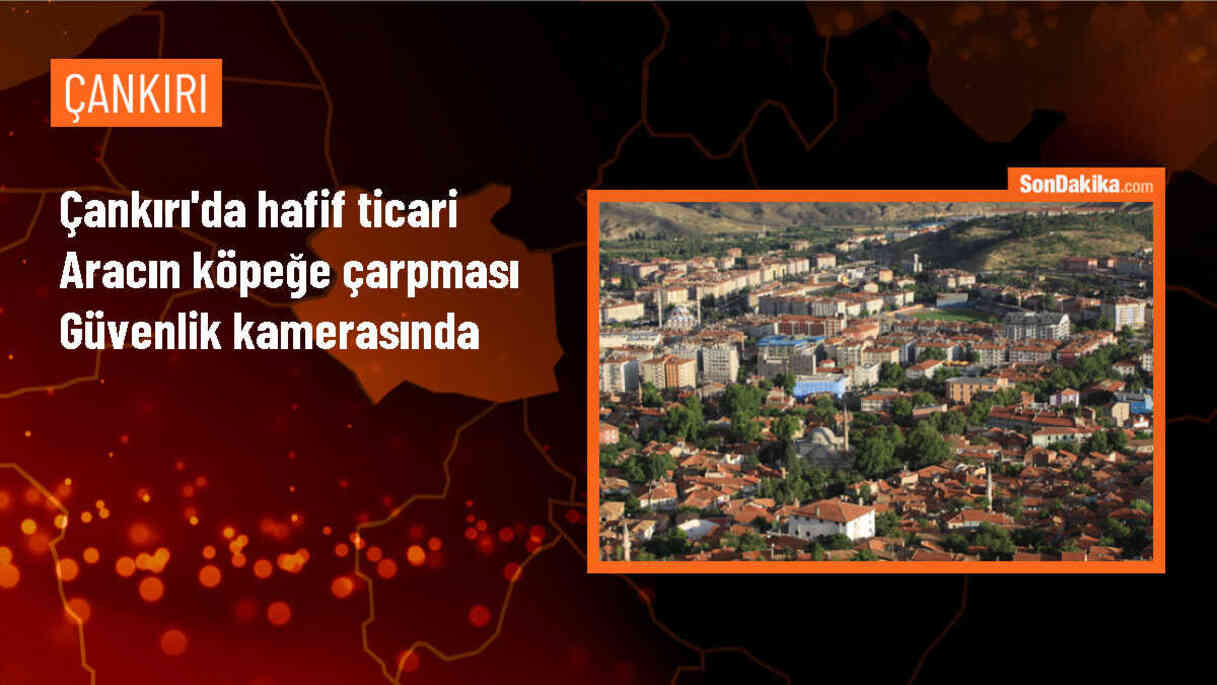 Çankırı\'da Hafif Ticari Araç Köpeğin Üzerinden Geçti