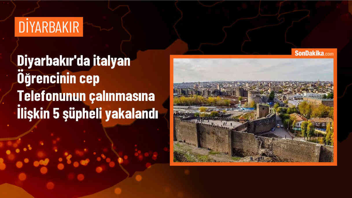 Diyarbakır\'da İtalyan öğrencinin halay çektiği sırada cep telefonu çalındı, 5 şüpheli gözaltına alındı
