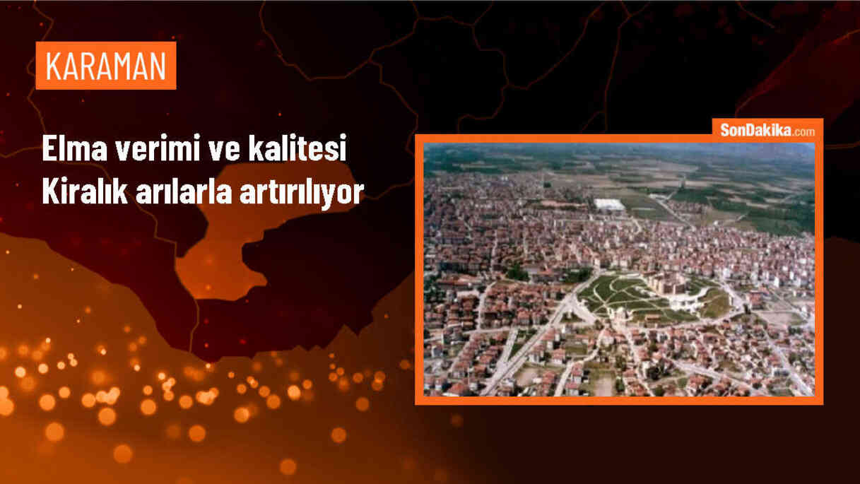 Kiralık Arı Kovanlarıyla Karaman\'da Elma Üretiminde Verim ve Kalite Artışı