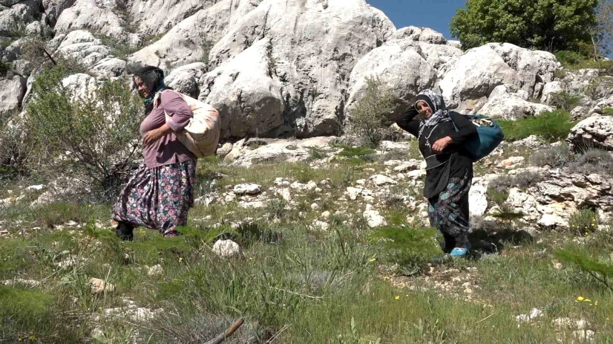 Adıyaman\'ın Gerger ilçesinde vatandaşlar pancar toplamak için dağları tırmanıyor