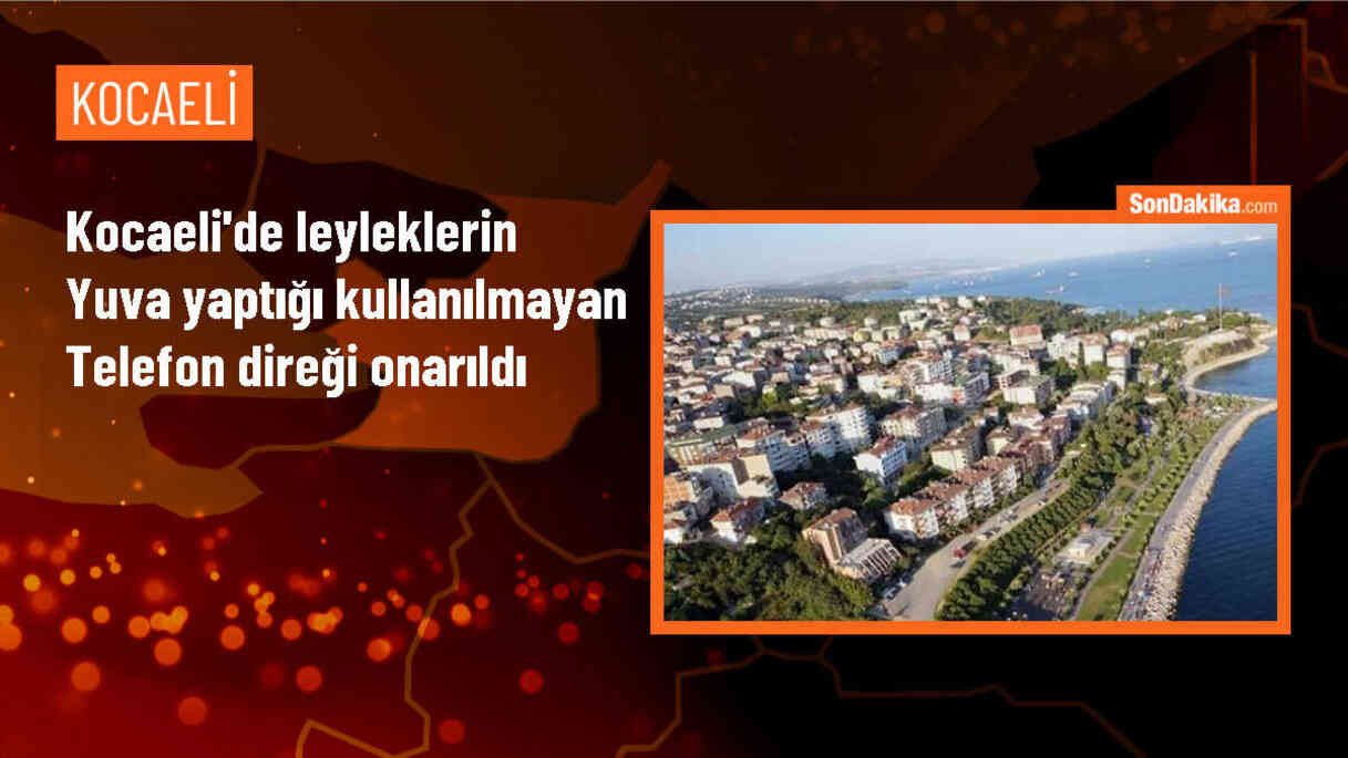 Kandıra\'da yıkılma tehlikesi geçiren leylek yuvası onarıldı