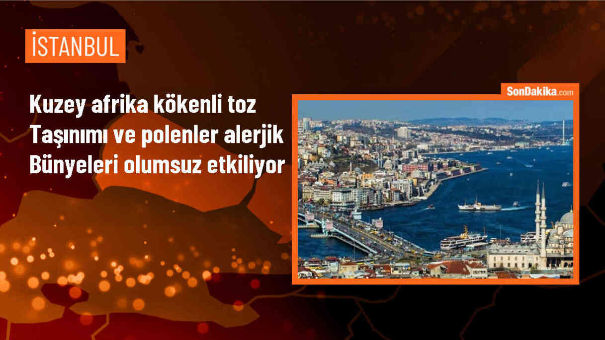 Toz Taşınımı ve Polenler Alerjik Kişileri Etkiliyor