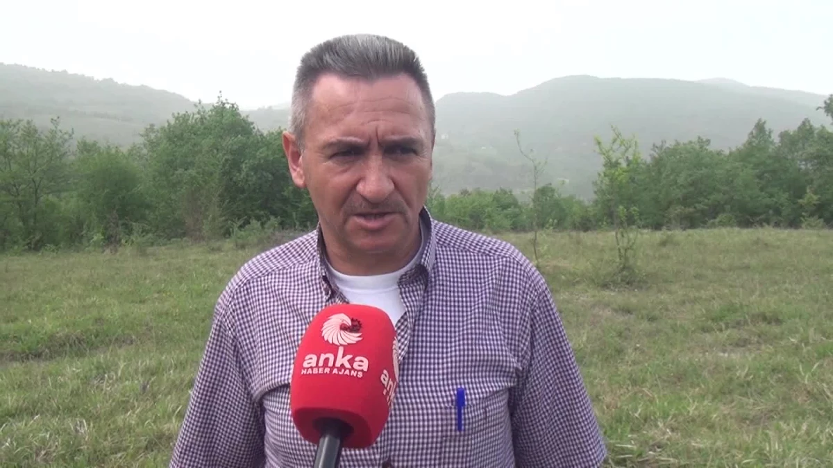 Sinop\'un Erfelek İlçesinde Açılmak İstenen Taş Ocağına Bölge Halkı Tepkili