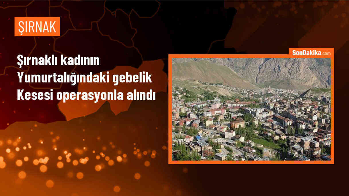 Şırnak\'ta Yumurtalıktaki Gebelik Kesi Laparoskopik Yöntemle Alındı