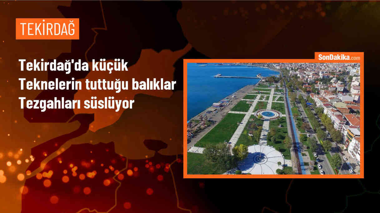 Tekirdağ\'da Küçük Teknelerle Avlanan Balıklar Tezgahlarda