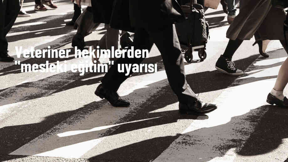 Veteriner Hekimler Derneği: Veteriner hekimlik eğitimi için gerekli ortam sağlanmalı