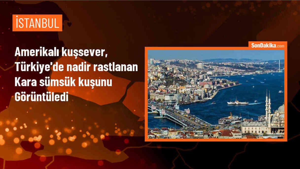 İstanbul\'da nadir görülen kara sümsük kuşu görüntülendi