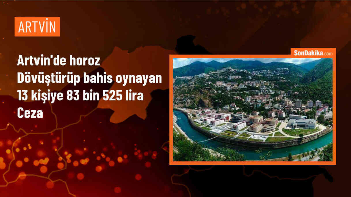 Artvin\'de Horoz Dövüşü ve Bahis Operasyonu: 13 Kişiye Para Cezası