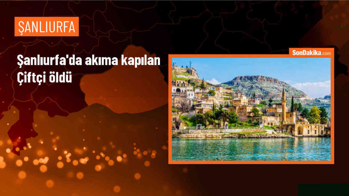 Şanlıurfa\'da elektrik akımına kapılan çiftçi hayatını kaybetti