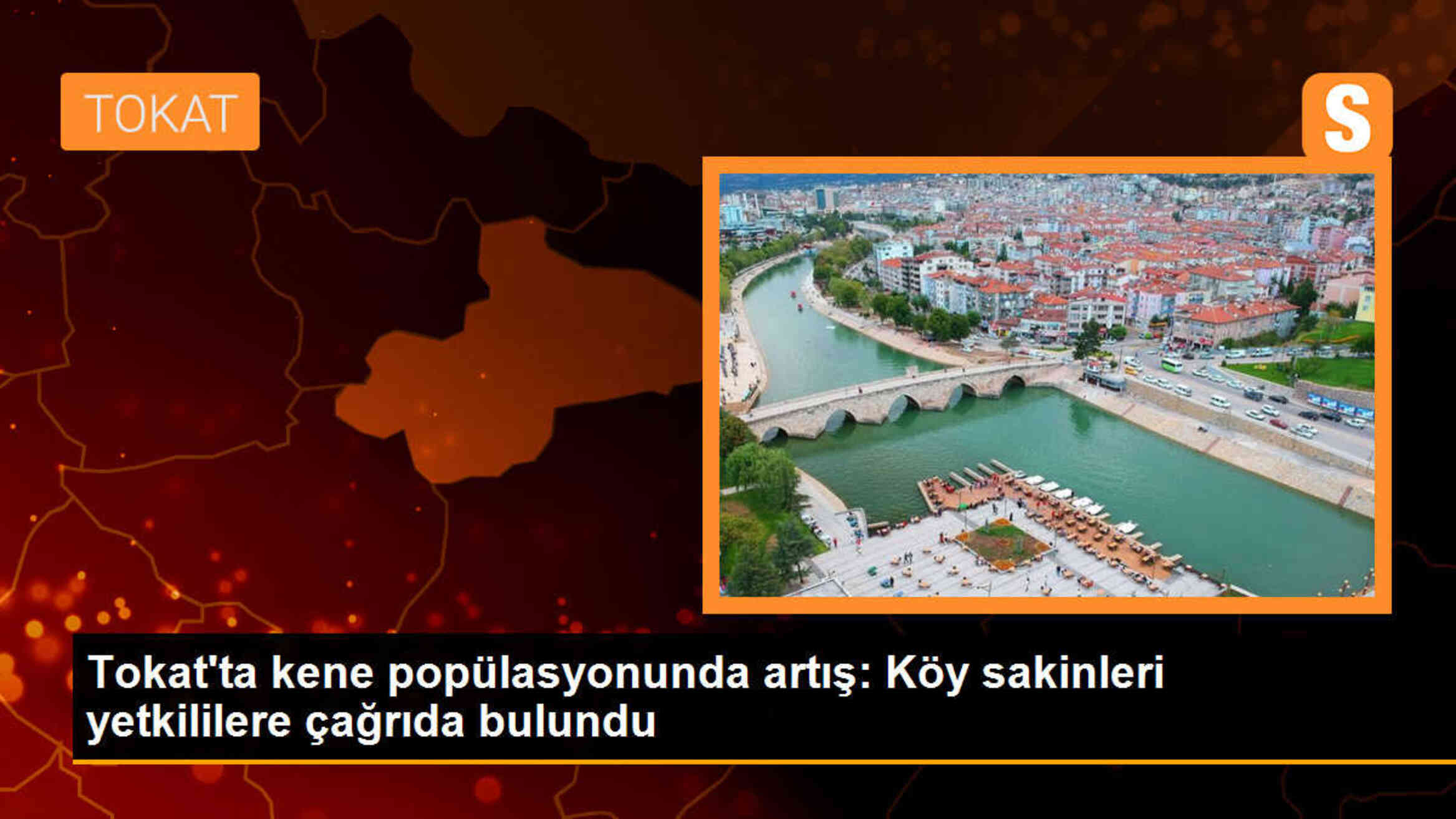 Tokat\'ta Sıcak Havaların Etkisiyle Kene Popülasyonu Artıyor