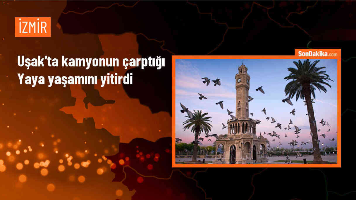Uşak\'ta Kamyonun Çarptığı Kadın Hayatını Kaybetti