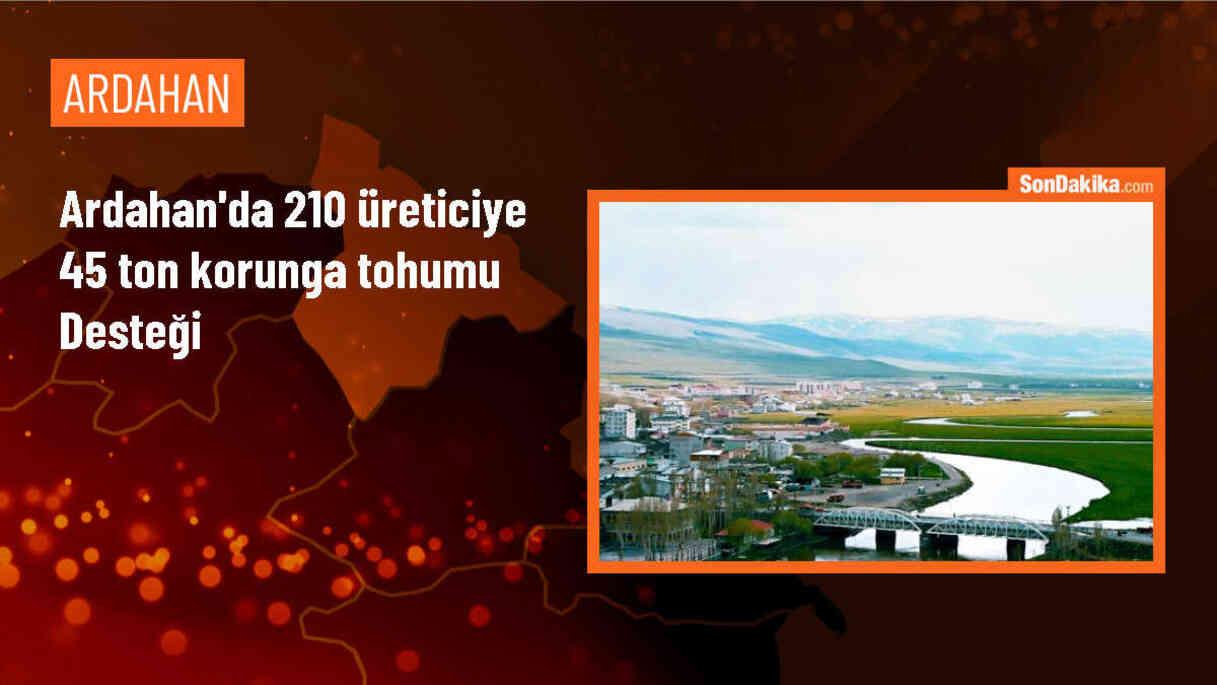 Ardahan\'da 210 Üreticiye 45 Ton Korunga Tohumu Dağıtıldı