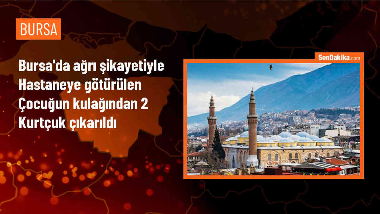 Bursa\'da 13 yaşındaki çocuğun kulağından 2 kurtçuk çıkarıldı