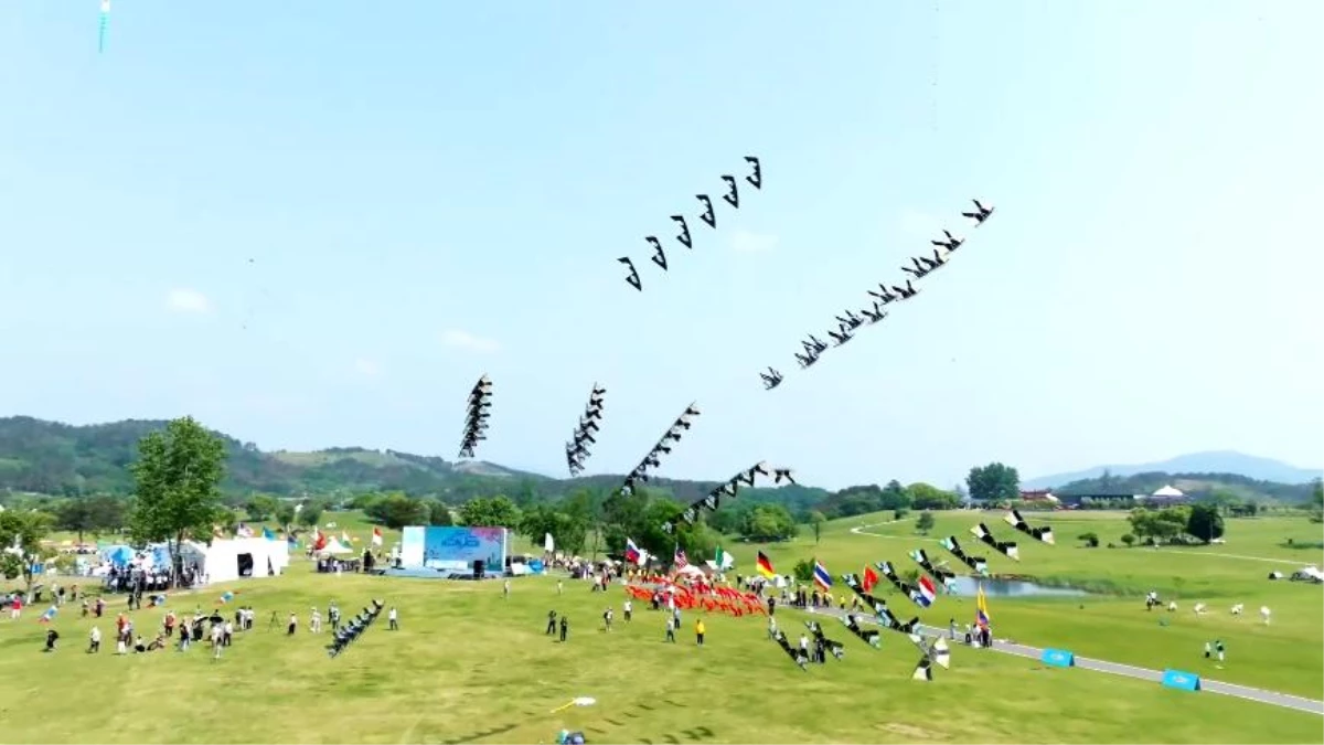 Uçurtma turnuvası Wuhan\'da düzenlendi