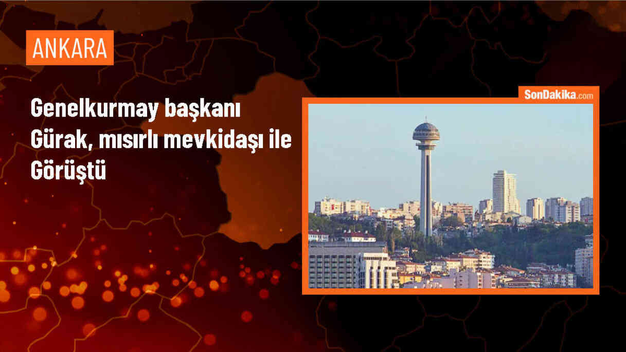 Genelkurmay Başkanı Orgeneral Metin Gürak, Mısır Genelkurmay Başkanı Korgeneral Osama Askar ile bir araya geldi