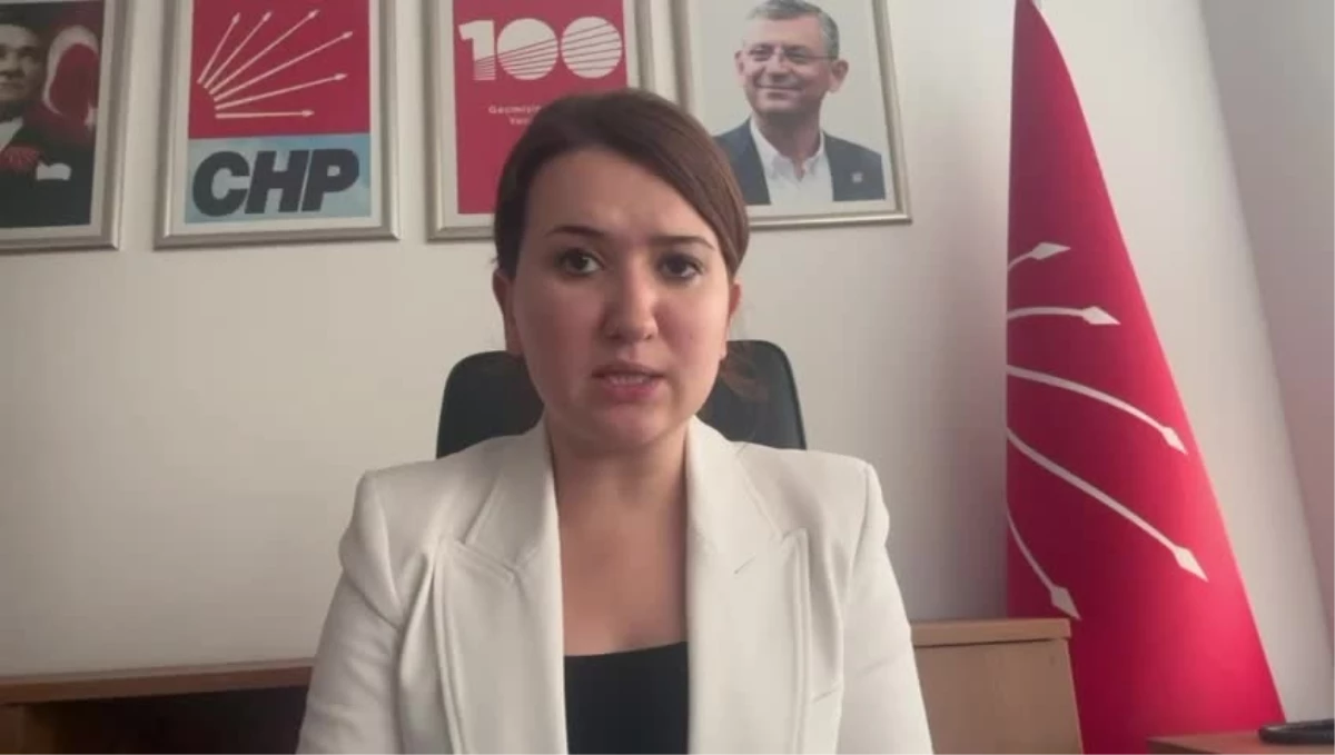 CHP Genel Başkan Yardımcısı Gökçe Gökçen, Tahir Elçi Davası\'nda beraat istemine tepki gösterdi