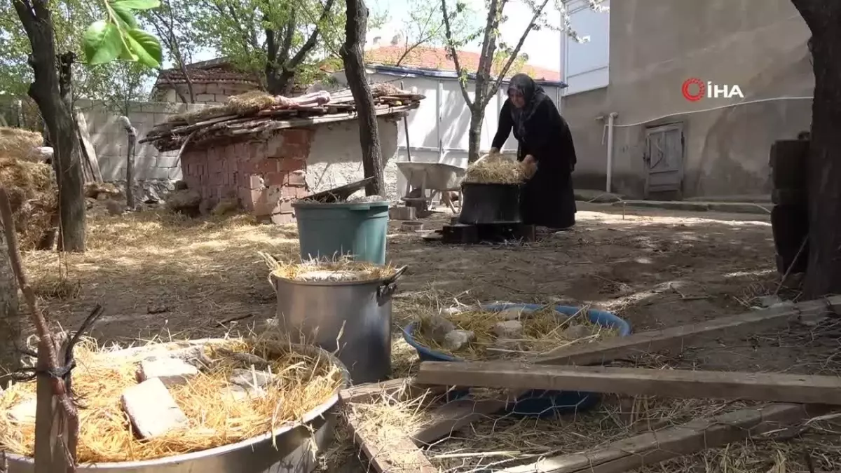 Mantar Üreticisi Kadın, Bahçesinde Geçimini Sağlıyor