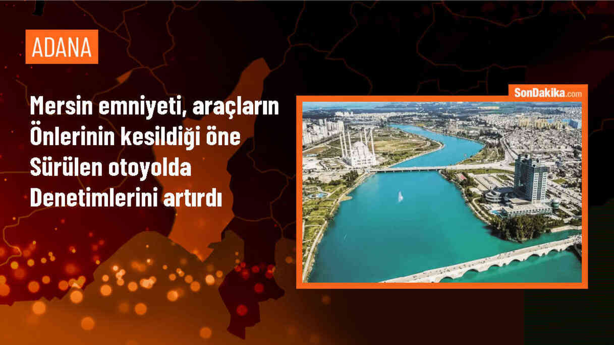Mersin\'de Otoyolda Hırsızlık Girişimi İddiası Üzerine Polis Denetim Yaptı