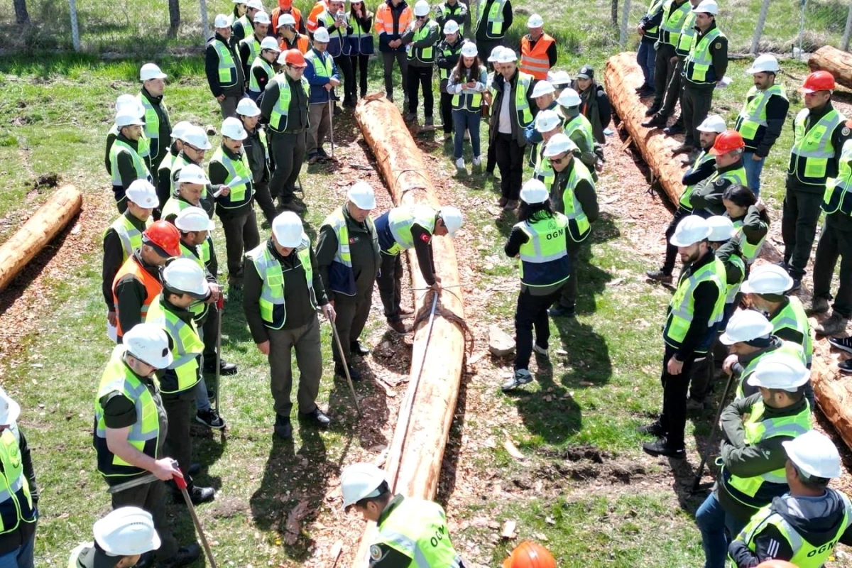 Aladağ Orman İşletme Müdürlüğünde Orman Emvali Üretiminde Eğitim Tatbikatı Gerçekleştirildi