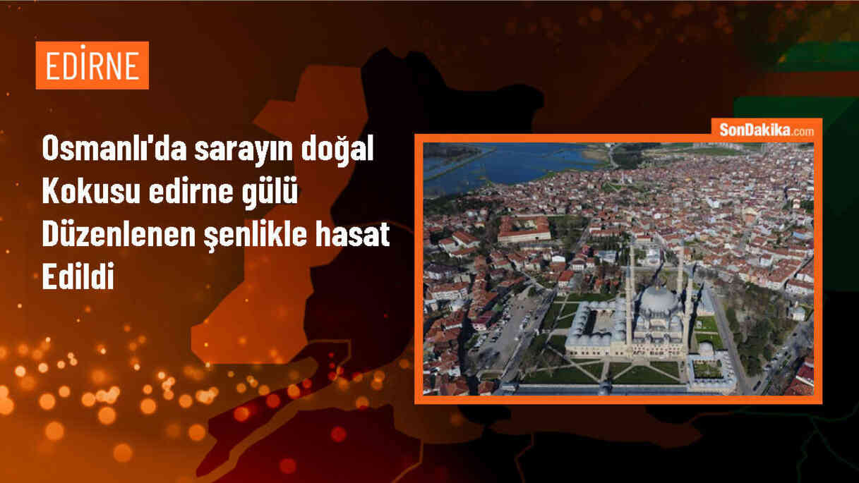 Edirne\'de Osmanlı dönemine ait gül bahçeleri canlandırılıyor