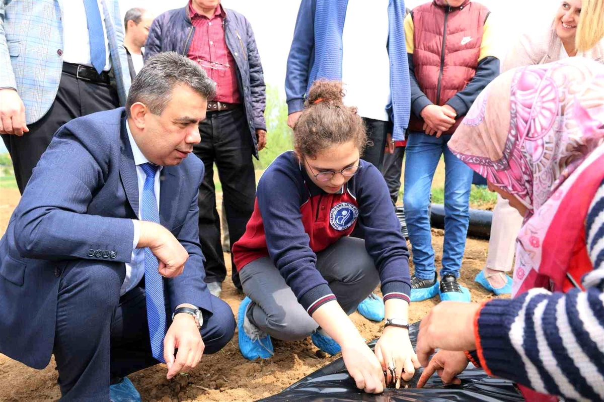 Kastamonu\'da Özel Bireyler ve Aileleri Sera Üretimiyle Gelişim Sağlayacak