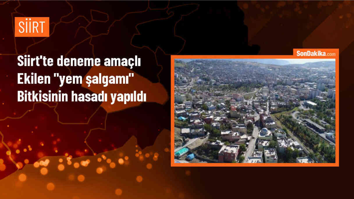 Siirt\'te deneme ekimi yapılan yem şalgamının hasadı yapıldı