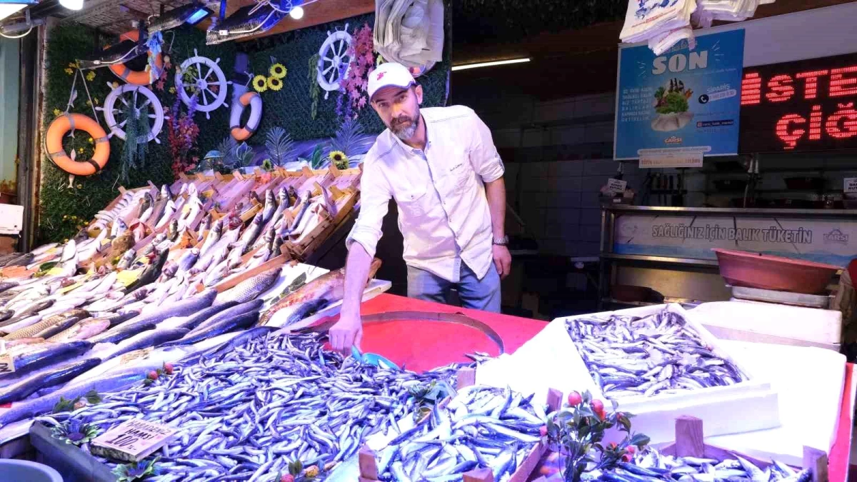 Eskişehir\'de Balık Satışları Azalıyor
