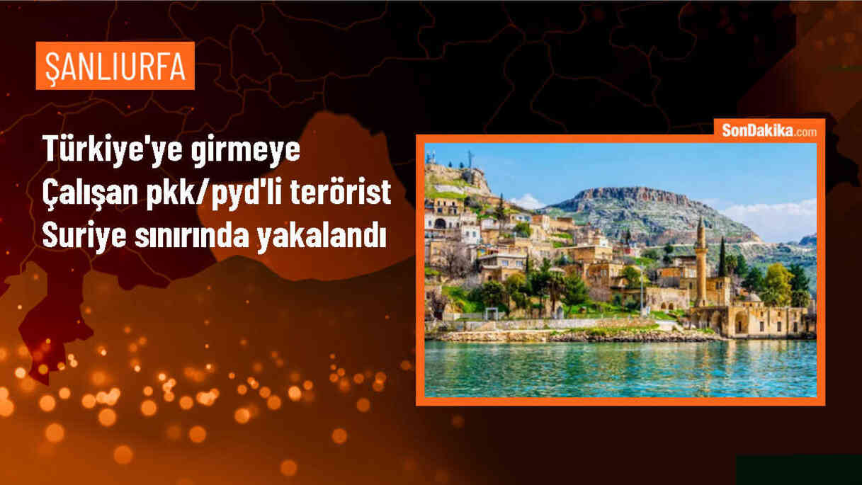 Şanlıurfa\'da Suriye sınırından terör örgütü mensubu yakalandı