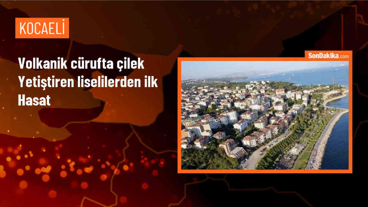 Kocaeli\'de Öğrenciler Topraksız Tarım İle Çilek Hasadı Yaptı