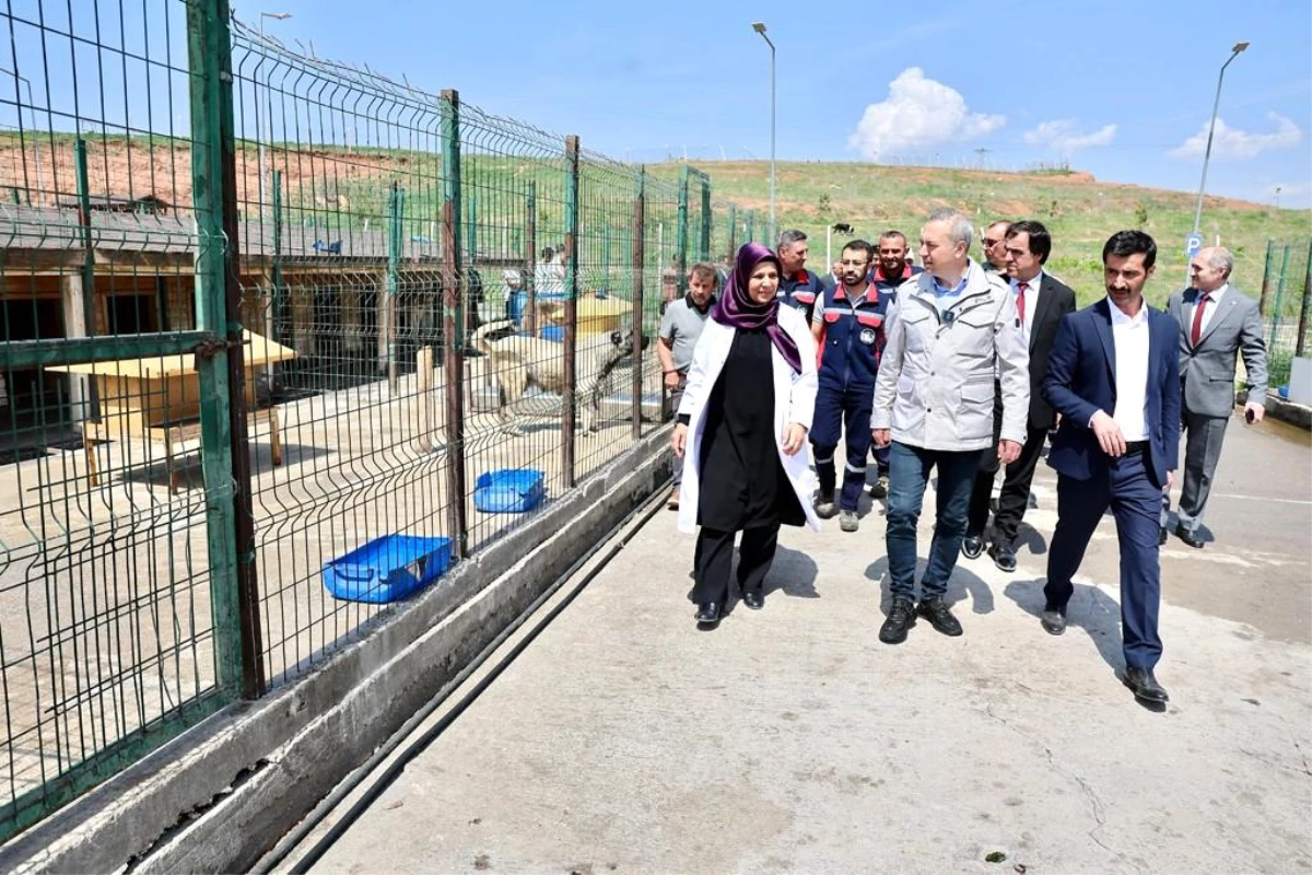 Sivas Belediye Başkanı Sokak Hayvanları Bakım ve Rehabilite Merkezi\'ni Ziyaret Etti