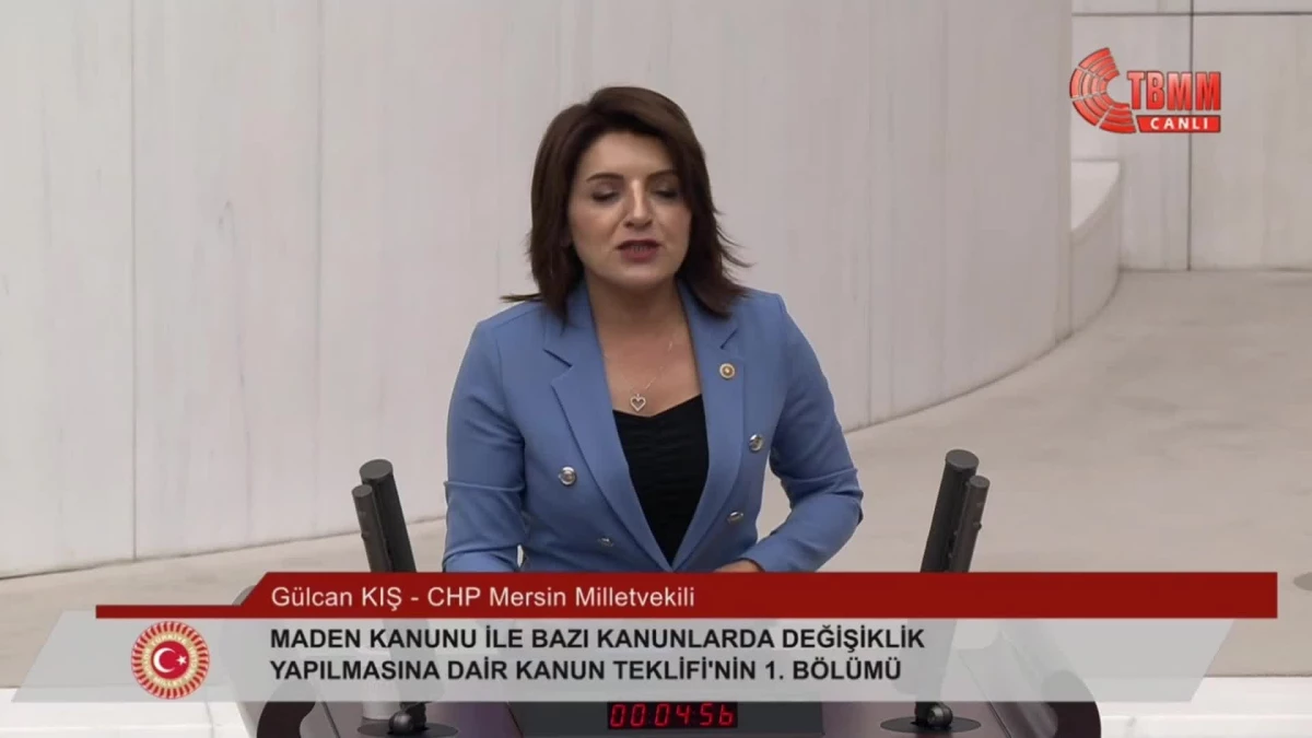 CHP Milletvekili Gülcan Kış: Türkiye enerjide kontrolü eline almadığı sürece dışa bağımlılığa mahkumdur