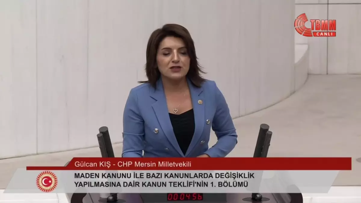 CHP Milletvekili Gülcan Kış: Türkiye enerjide kontrolü eline almadığı sürece dışa bağımlılığa mahkumdur