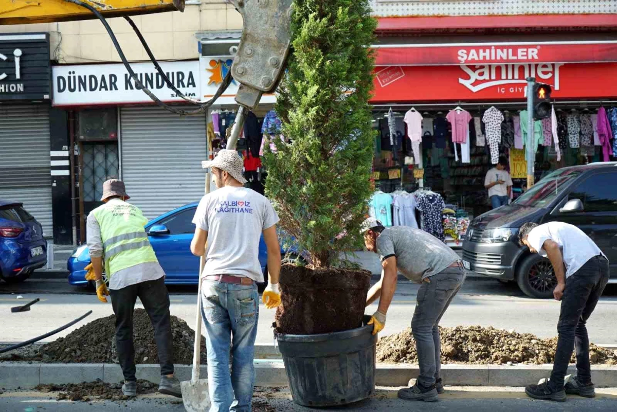 Kağıthane Belediyesi İlçede 60 Bin Fidan ve Ağaç Dikti