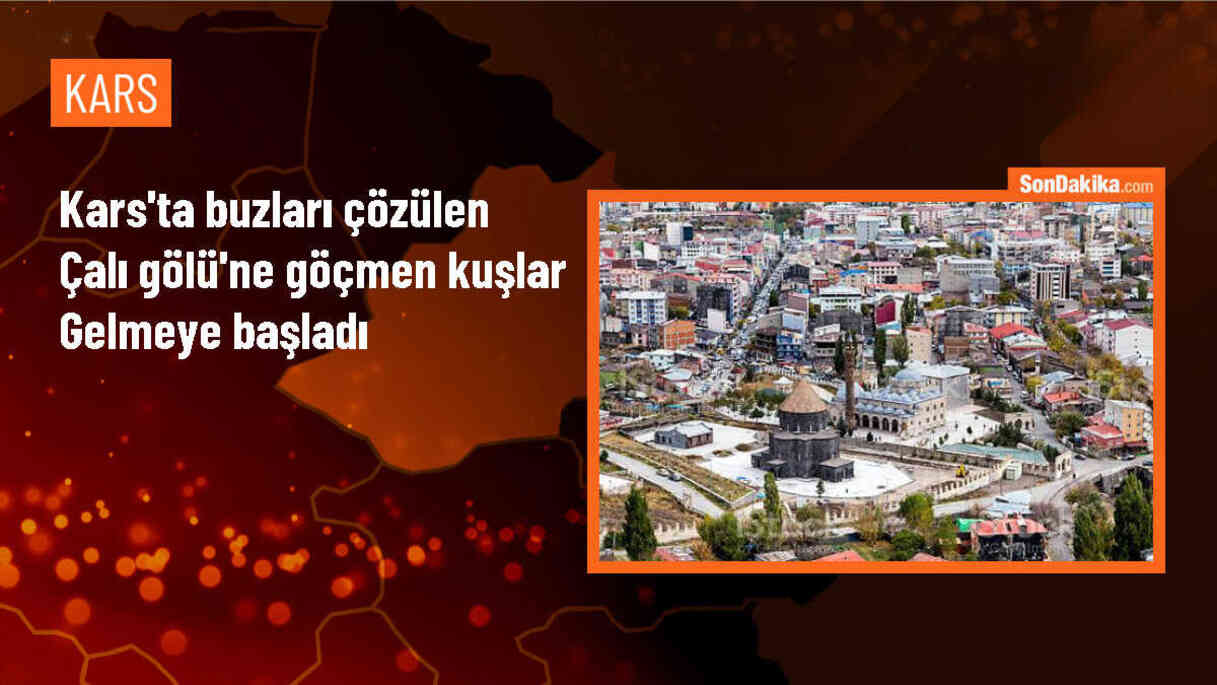 Kars\'ta Çalı Gölü\'nün buzları çözüldü, göçmen kuşlar mola vermeye başladı