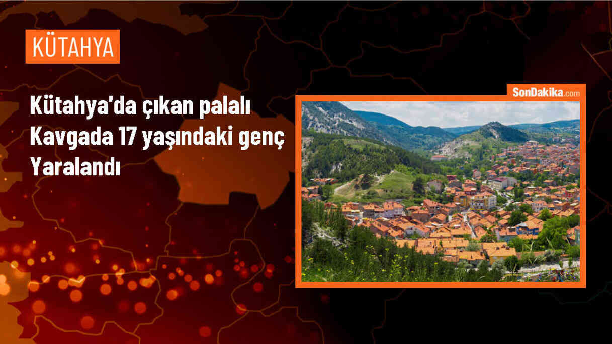 Kütahya\'da çıkan palalı kavgada 17 yaşındaki genç yaralandı