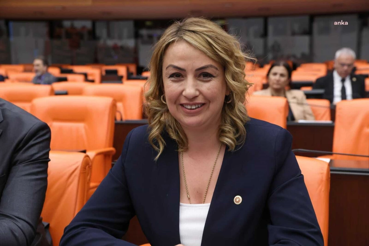 CHP Hatay Milletvekili Nermin Yıldırım Kara, Hatay\'da Taş Ocaklarına Karşı Uyarıda Bulundu