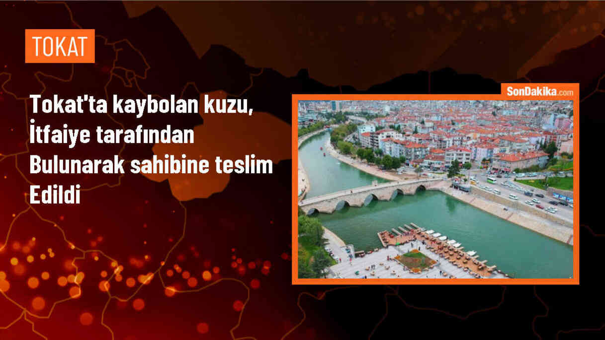 Niksar\'da kaybolan kuzu itfaiye ekipleri tarafından bulundu