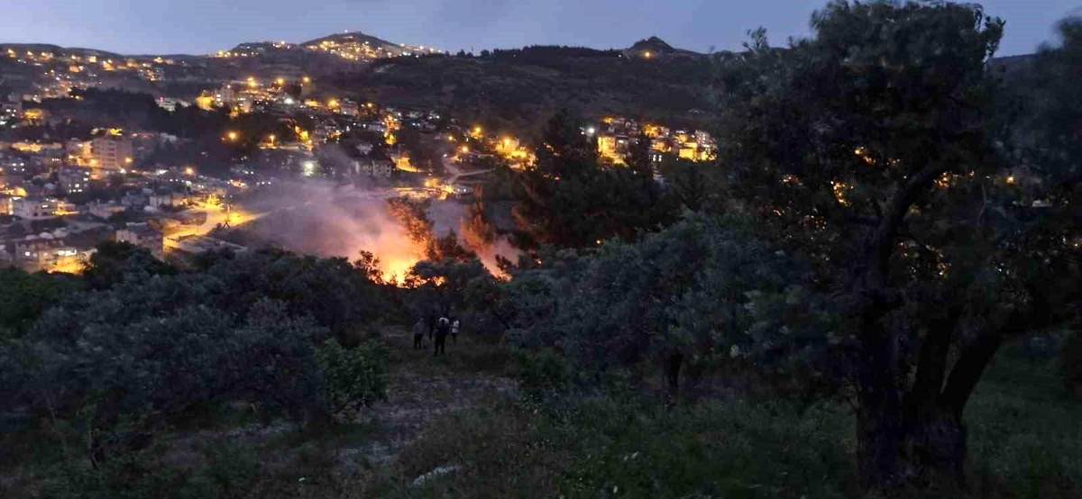 Hatay\'ın Antakya ilçesinde yıldırım düşen ağaçlık alanda yangın çıktı