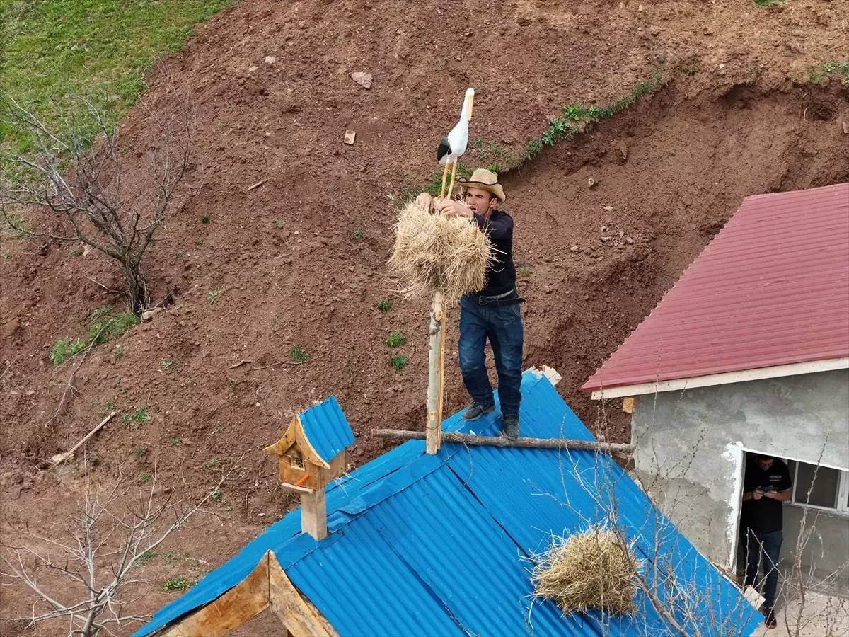 Yedisu ilçesinde terk edilen köye leylekler geri dönüyor